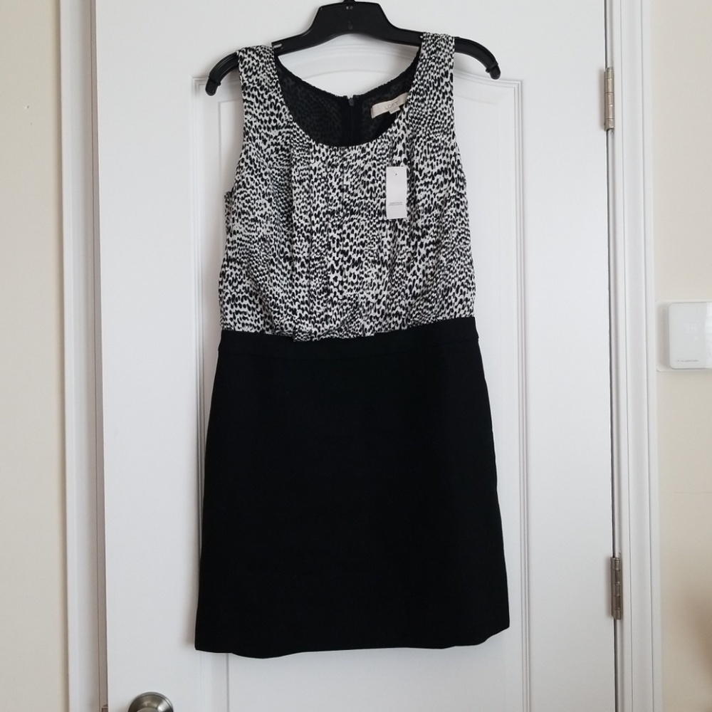 Loft dress